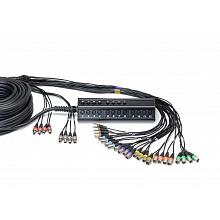 Cordial CYB 24-8 C мультикор (stagebox) 24xinput, 8xoutput, XLR male