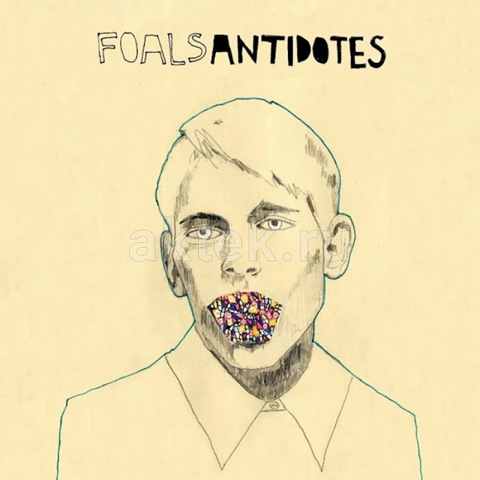 Виниловая пластинка FOALS - ANTIDOTES 180 GRAM BLACK VINYL 12"