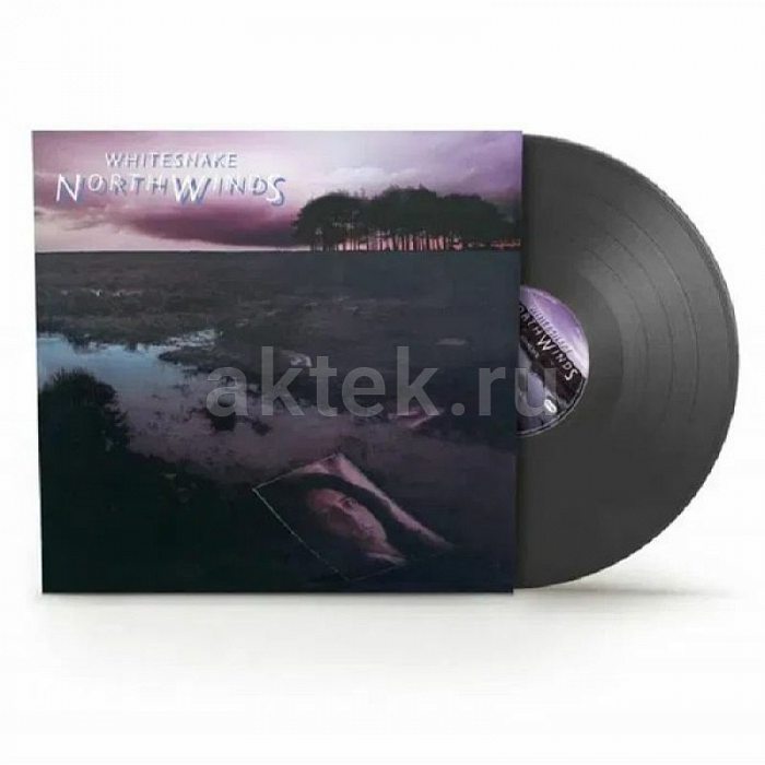 Виниловая пластинка WHITESNAKE - NORTHWINDS BLACK ICE VINYL 12"
