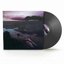 Виниловая пластинка WHITESNAKE - NORTHWINDS BLACK ICE VINYL 12"