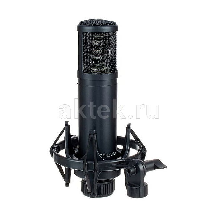 Студийный микрофон sE Electronics sE2200 6
