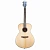 Breedlove Discovery S Concerto Sit-MH акустическая гитара