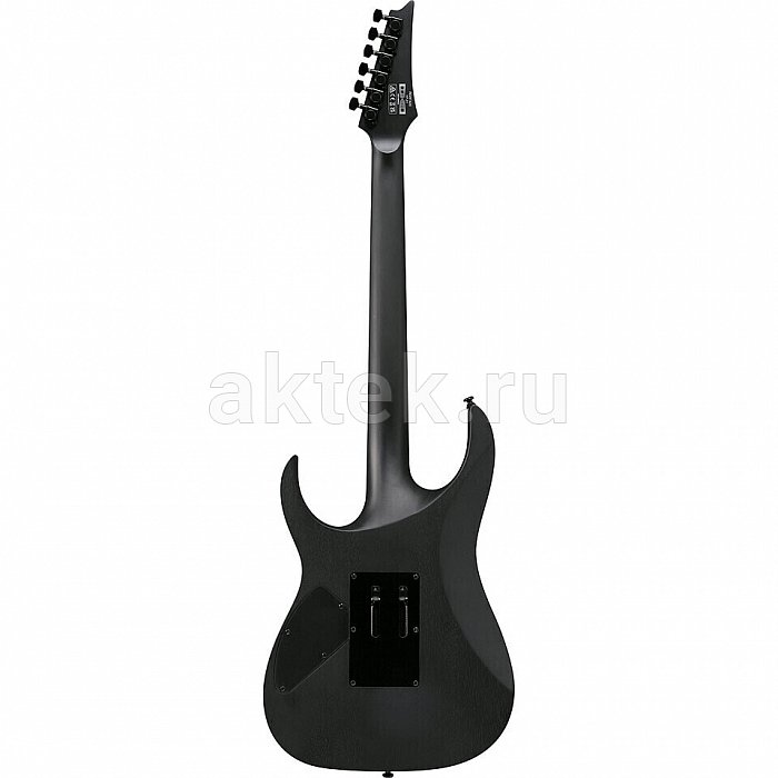 Электрогитара Ibanez RGRTB621-BKF Iron Label Black Flat 5