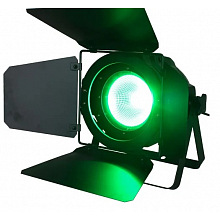 Светодиодный PAR прожектор SHOWLIGHT COB PAR 200W RGBW 2