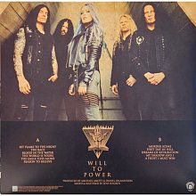 Виниловая пластинка ARCH ENEMY - WILL TO POWER 180 GRAM BLACK VINYL 12" 2