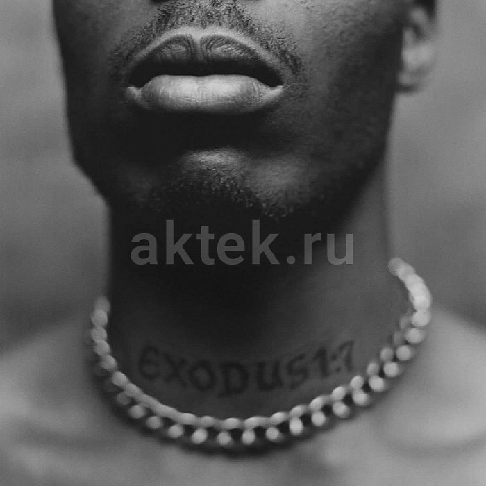 Виниловая пластинка DMX - EXODUS BLACK VINYL 12"