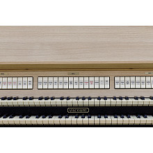 Цифровой орган Viscount Organs DOMUS 4 Light Laminated 3