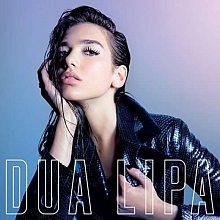 Виниловая пластинка DUA LIPA - DUA LIPA BLACK VINYL 12"