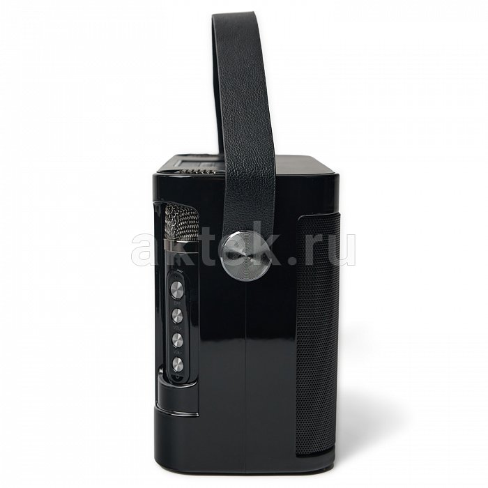 Портативная караоке колонка с микрофонами SkyDisco YS-219 12
