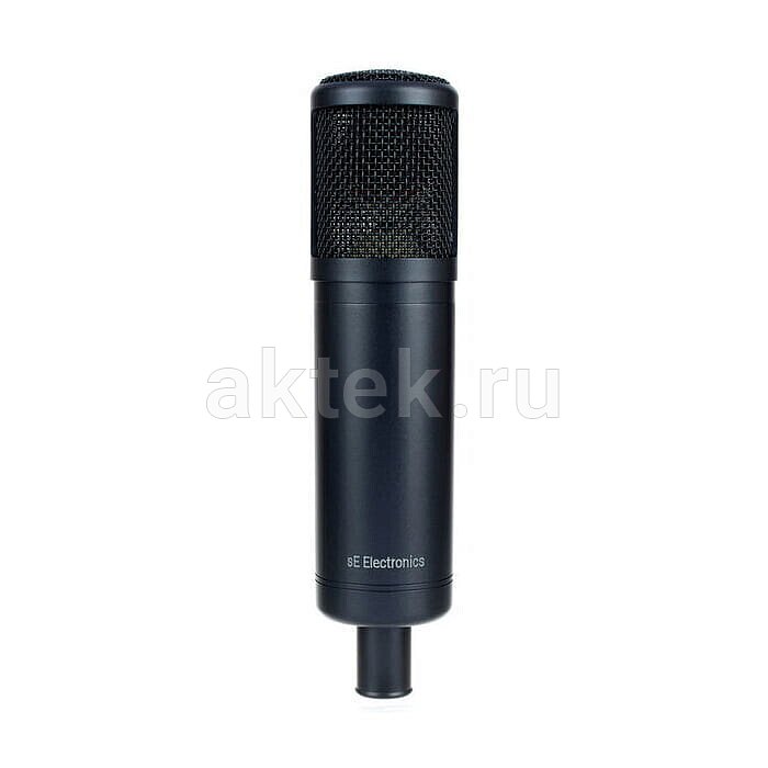 Студийный микрофон sE Electronics sE2200 11