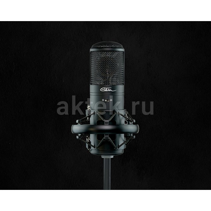 Студийный микрофон Stam Audio SA800G 2