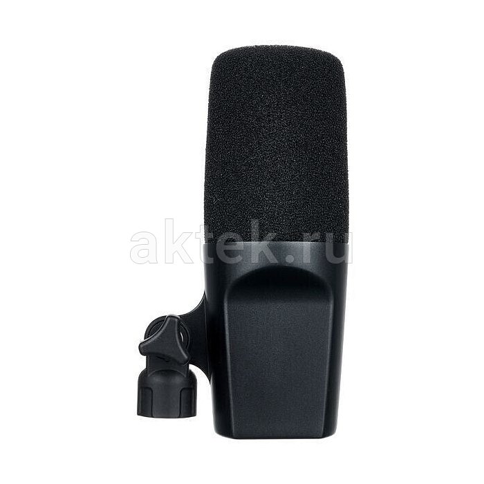 Студийный микрофон sE Electronics DynaCaster DCM 6 8