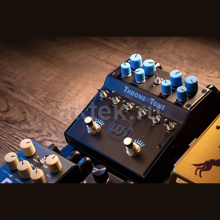 Гитарная педаль эффектов Warm Audio WA-TOT Throne of Tone 2