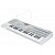 Аналоговый синтезатор KORG MICROKORG CR