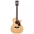 D'Angelico Premier Fulton Natural 12-str двенадцатиструнная гитара, 12 струн