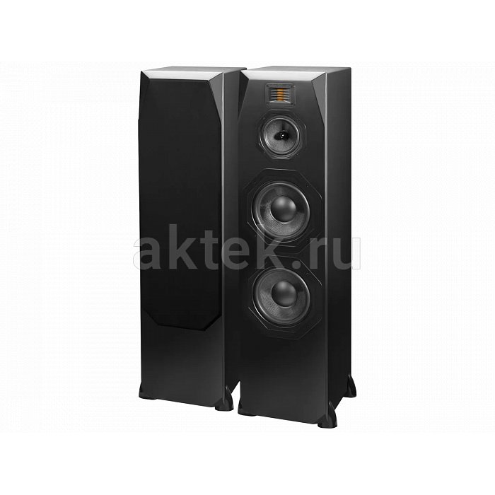 Напольная акустика Emotiva Airmotiv T2+