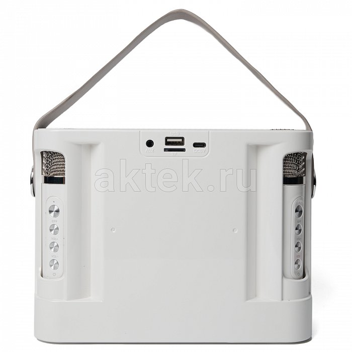 Портативная караоке колонка с микрофонами SkyDisco YS-219 white 12