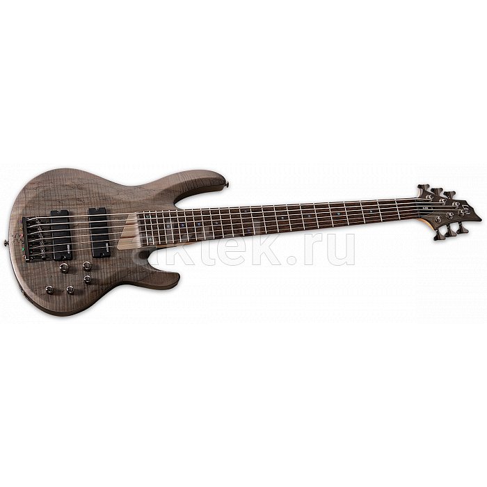 Бас-гитара ESP LTD B-205SM SEE THRU Black Satin 2