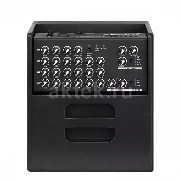 Acus One ForStrings 5Ferdi акустический комбоусилитель, 70 Вт, три канала 2