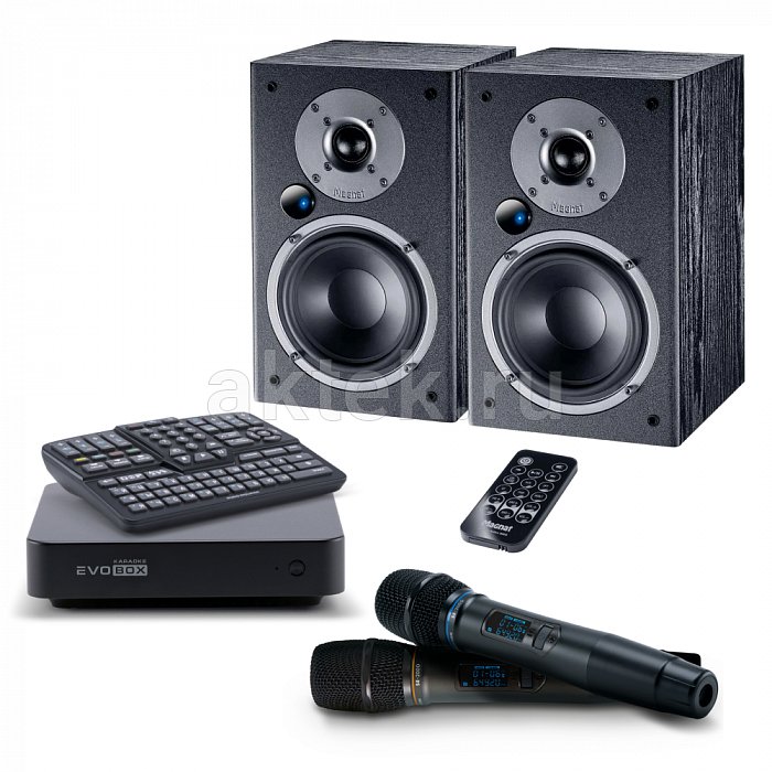Профессиональный домашний караоке комплект EVOBOX + SE 200D + MAGNAT