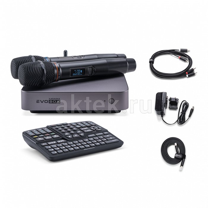 Караоке система с микрофонами и акустикой Studio Evolution EVOBOX Plus+Audio Pro A38 white 9