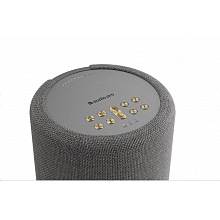 Акустическая система Audio Pro A10 MKII W Dark Grey 3
