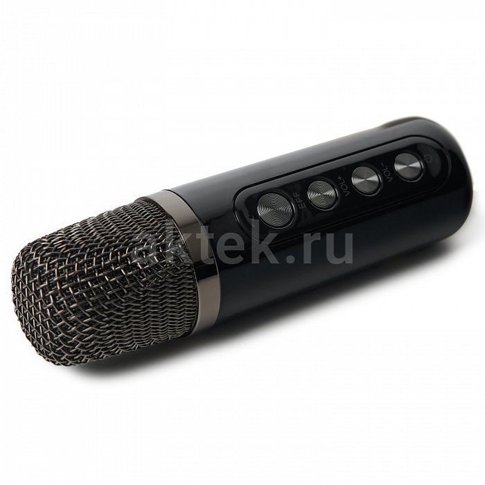 Портативная караоке колонка с микрофонами SkyDisco YS-219 8