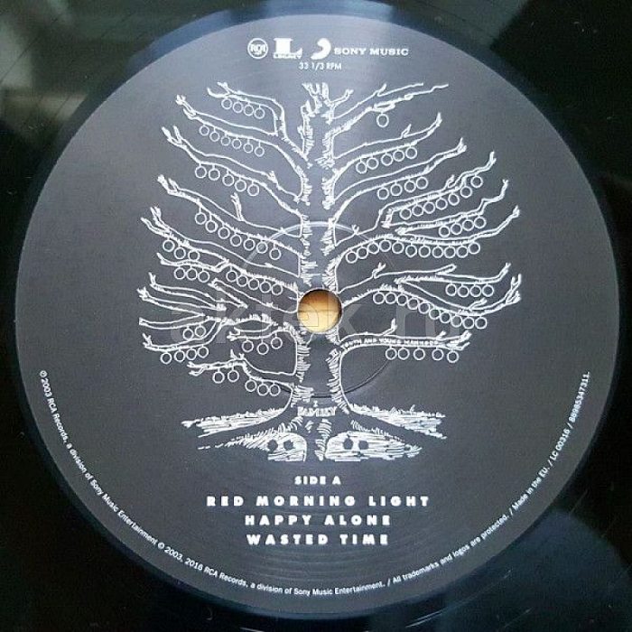 Виниловая пластинка KINGS OF LEON - YOUTH AND YOUNG MANHOOD 180 GRAM BLACK VINYL 12" 4