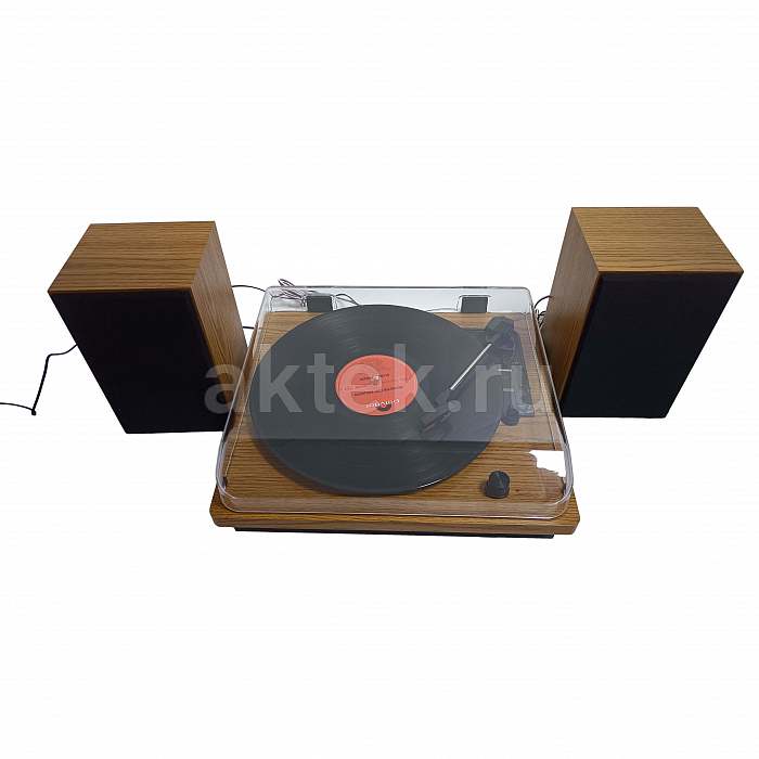 Комплект проигрывателя винила с акустикой SkyDisco TP204 Acoustic 2
