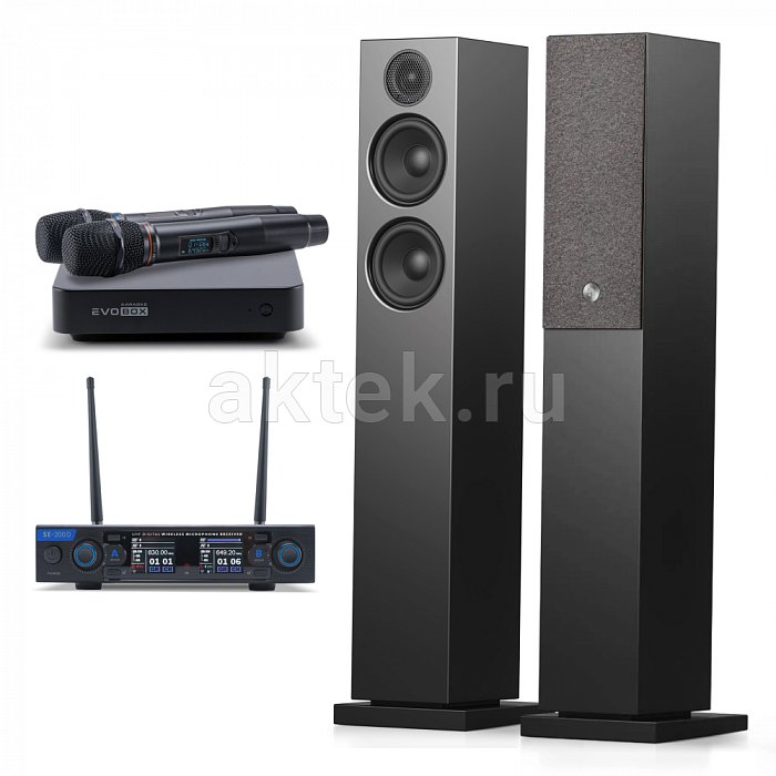 Домашняя караоке система с акустикой и микрофонами Studio Evolution EVOBOX+SE 200D+Audio Pro A36