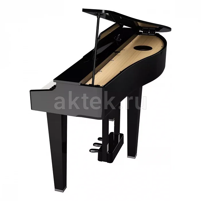 Roland GP 3 PE цифровое пианино, 88 клавиш, молоточковая механика 9