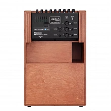 Acus One ForStrings 10Ferdi Wood гитарный усилитель, 250 Вт 2 Acus One ForStrings 10Ferdi Wood гитарный усилитель, 250 Вт 2