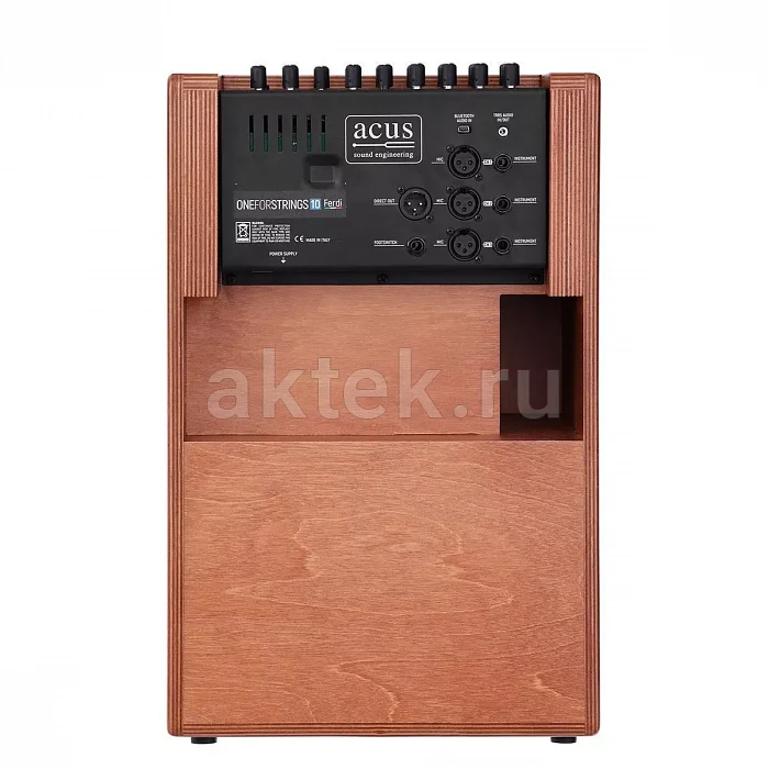 Acus One ForStrings 10Ferdi Wood гитарный усилитель, 250 Вт 2