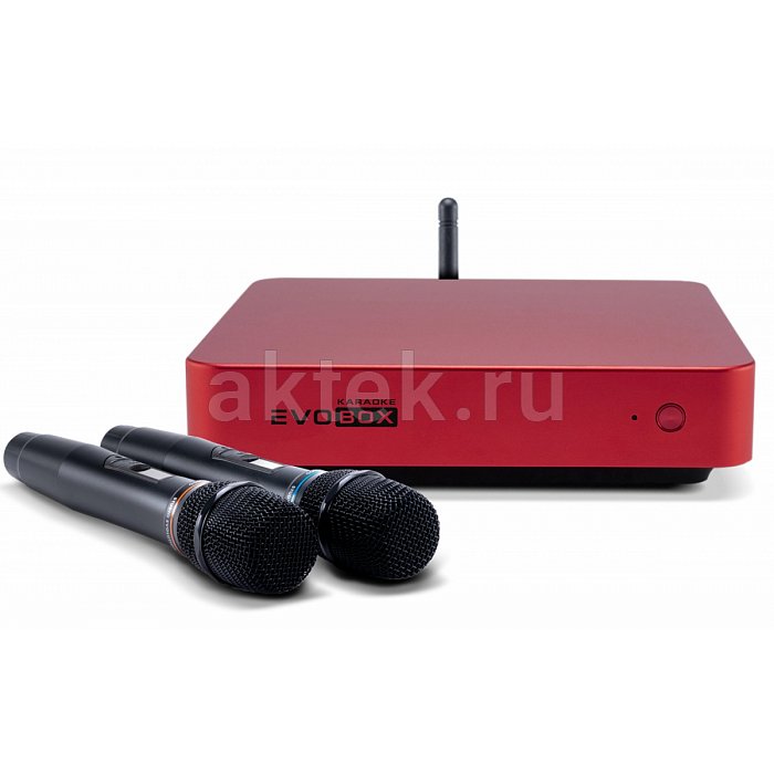 Караоке система с микрофонами Studio Evolution EVOBOX Classic Ruby