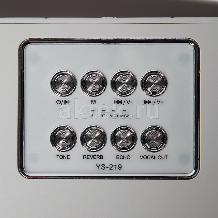 Портативная караоке колонка с микрофонами SkyDisco YS-219 white 3