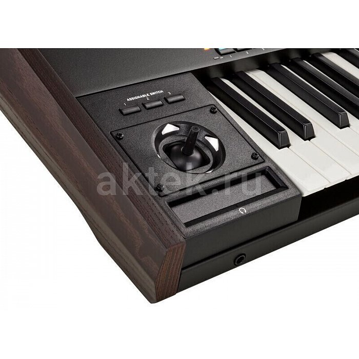 Цифровой синтезатор KORG PA5X 61 Oriental 7