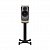 Dynaudio Confidence 20 Blonde Wood пассивная полочная акустика 18см/250Вт