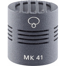 Студийный микрофон Schoeps MK 41