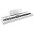 Цифровое фортепиано Roland FP-60X-WH