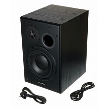 Студийный монитор Dynaudio BM15A Left 2