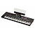 Цифровой синтезатор KORG PA5X 76 Oriental