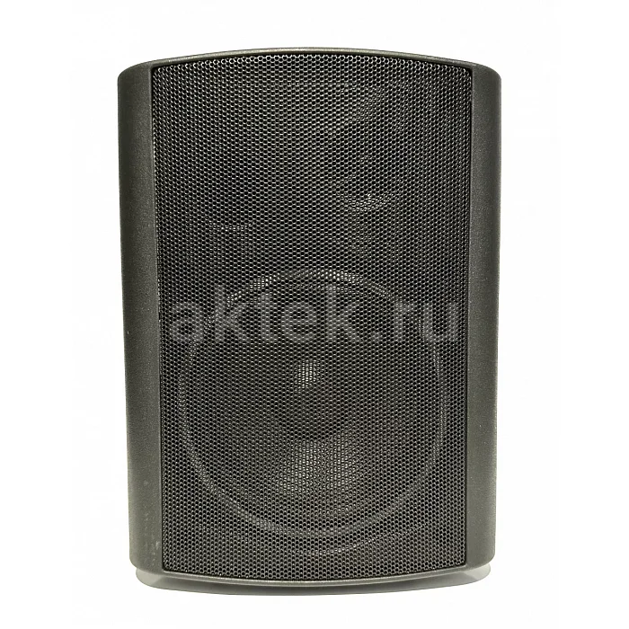 ROSS CTH530BK настенная трансляционная акустика, 30 Вт, 5 дюйма 2