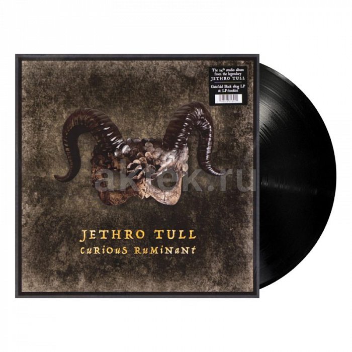 Виниловая пластинка JETHRO TULL - CURIOUS RUMINANT BLACK VINYL 12"