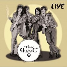 Виниловая пластинка ЧИЖ & СO - LIVE BLACK VINYL 12"