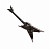 Электрогитара DEAN RZR SKLZ L Razorback Skullz