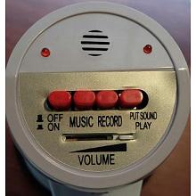 Мегафон с записью голоса MEGAPHONE HQ-1088 2