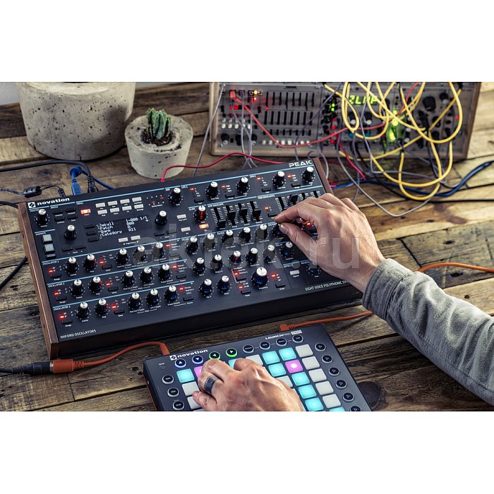 Синтезатор NOVATION PEAK 7