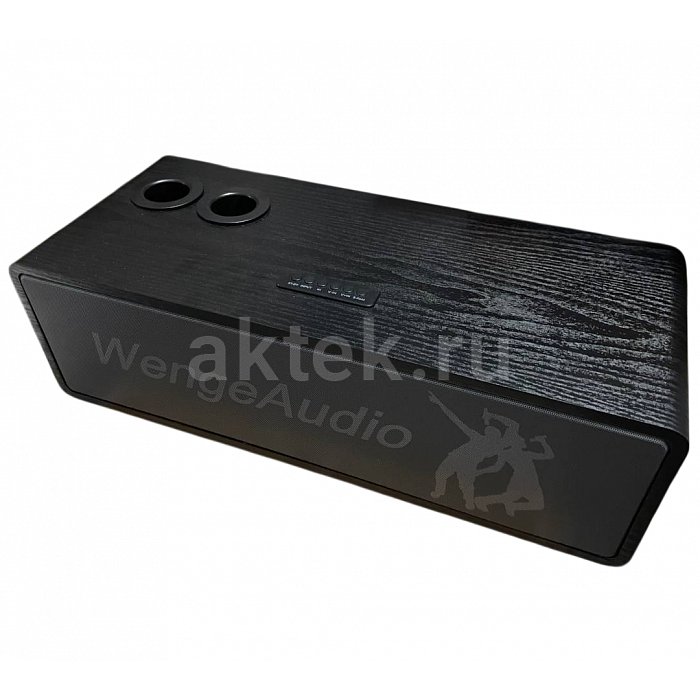 Караоке-колонка с микрофонами Wenge Audio N-S15