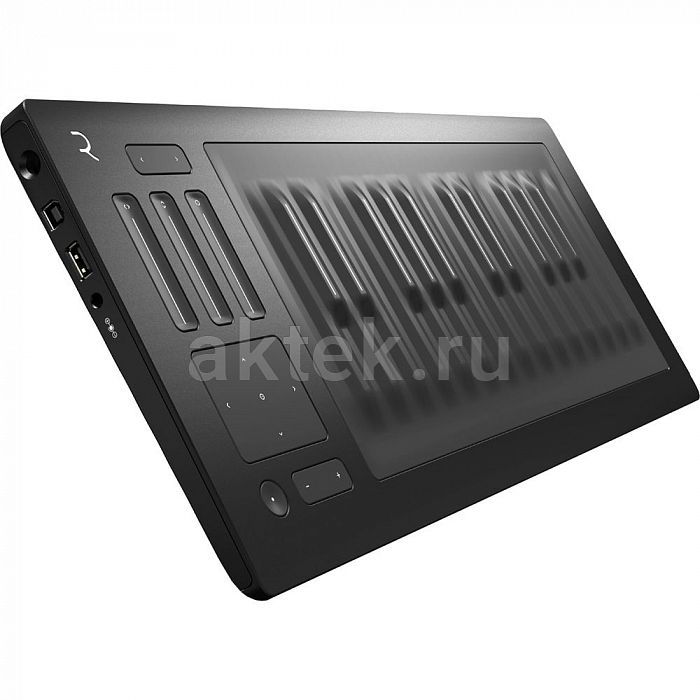 Клавишный инструмент ROLI RISE 25 2