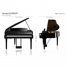 Yamaha CLP-895GPWH цифровой мини-рояль, 256 голосов, GrandTouch, трёхполосная акустика 3 Yamaha CLP-895GPWH цифровой мини-рояль, 256 голосов, GrandTouch, трёхполосная акустика 3